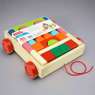 WOODEN CONSTRUCTION SORTER BLOCKS
